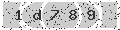 verify code