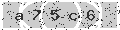 verify code