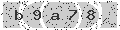verify code