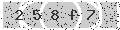 verify code