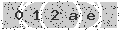 verify code