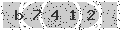 verify code