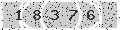 verify code