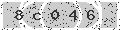 verify code