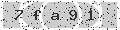 verify code