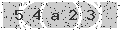 verify code