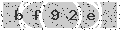 verify code