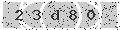 verify code
