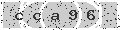 verify code