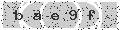 verify code