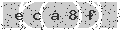 verify code