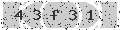 verify code