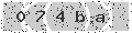 verify code