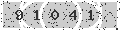 verify code