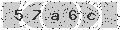 verify code